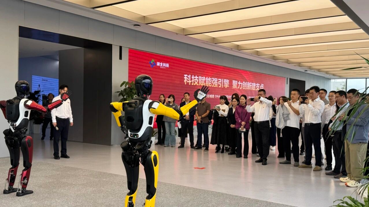 image.png